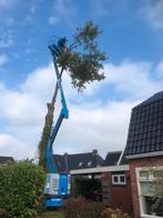 Boomverzorging, bomenrooien, bomen snoeien