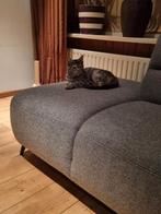 Goed tehuis gezocht voor deze lieve poes, Dieren en Toebehoren, Katten en Kittens | Overige Katten, Poes