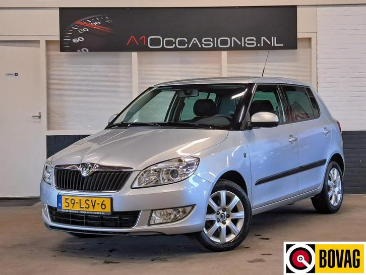 Skoda Fabia 1.2 TSI Ambition (bj 2010), Auto's, Skoda, Bedrijf, Te koop, Fabia, ABS, Airbags, Airconditioning, Alarm, Boordcomputer