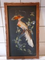 Mexicaanse vogel in beeld, prachtig ingelijst, Ophalen of Verzenden