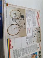 Batavus sprint damesfiets, Fietsen en Brommers, Fietsen | Dames | Damesfietsen, 53 tot 56 cm, Ophalen, Zo goed als nieuw, Batavus