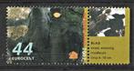 35 T --2521 Beukenboom 2007 Blad, Verzenden, Na 1940, Gestempeld