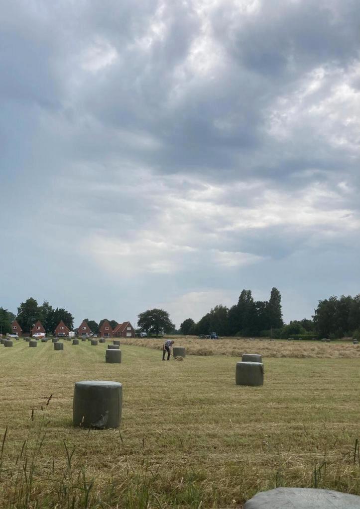 Midibalen hooi paardenmengsel 2025, Dieren en Toebehoren, Dierenvoeding, Vee, Ophalen of Verzenden
