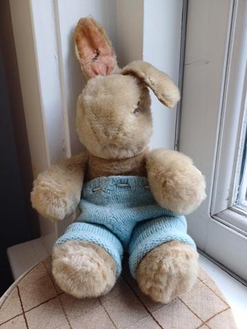 schattig oud konijn rabbit steif?  beschikbaar voor biedingen