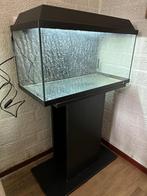 Juwel Primo 60 liter met voet., Ophalen, Gebruikt, Leeg aquarium