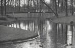 960783	Driebergen	Park 	Wildbaan	 _Mooie zegel. Niet gestemp, Verzamelen, Ansichtkaarten | Nederland, Gelopen, Utrecht, 1960 tot 1980