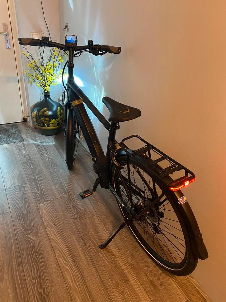 Pegasus E-Bike te koop, Fietsen en Brommers, Elektrische fietsen, Zo goed als nieuw, Overige merken, 51 tot 55 cm, 50 km per accu of meer