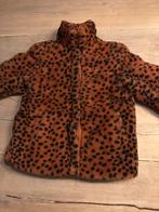 Meisjes winterjas teddy maat 122/128, Kinderen en Baby's, Ophalen of Verzenden, Zo goed als nieuw