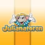 1 kaartje voor Koningin Julianatoren, Eén persoon, Ticket of Toegangskaart