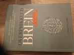 Overprikkeld Brein - Charlotte Labee, Boeken, Ophalen of Verzenden, Zo goed als nieuw, Cognitieve psychologie, Charlotte Labee