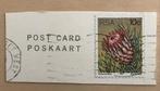 Postzegel Zuid Afrika 1977 - RSA 10c Dick Findlay - Protea, Ophalen of Verzenden, Zuid-Afrika, Gestempeld