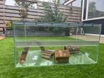 Hamsterkooi, Dieren en Toebehoren, Kooi, Gebruikt, Minder dan 75 cm, Hamster