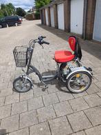 Van Raam Easy Go driewielfiets, Ophalen, Gebruikt, Van Raam
