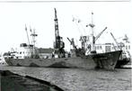 Scheepvaart, Verzamelen, Scheepvaart, Verzenden, Nieuw, Motorboot, Kaart, Foto of Prent