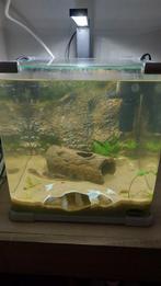 Superfish aquarium, Ophalen, Gebruikt, Verlichting of Verwarming