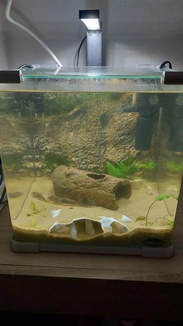 Superfish aquarium  beschikbaar voor biedingen