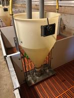 Biggen bakken [492], Dieren en Toebehoren, Boekhorst Trading, Info@boekhorsttrading.com, Singel 16, Horssen