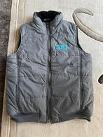 Grijze Bodywarmer - Maat 158, Kinderen en Baby's, Kinderkleding | Maat 158, Ophalen of Verzenden, Zo goed als nieuw, Jas