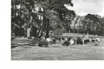 WASSENAAR - Duinrell Dierenkamp 1961, Verzenden, 1960 tot 1980, Zuid-Holland