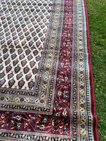 Vloerkleed zeer groot kleed voor maar 250 euro ophalen mij beschikbaar voor biedingen