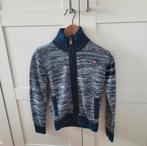 Mooie Trui/ Vest Pointer, Ophalen of Verzenden, Zo goed als nieuw, Pointer, Trui of Vest