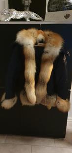 Winterjas, Ophalen of Verzenden, Zo goed als nieuw, Blauw