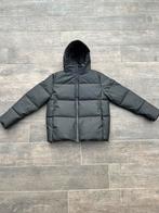 Daily Aesthetikz puffer jacket miduim, Kleding | Heren, Jassen | Winter, Maat 48/50 (M), Zwart, Nieuw, Ophalen of Verzenden