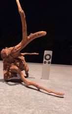 Leuk stuk Kienhout / Driftwood / Spiderwood, Hout Decoratie, Ophalen of Verzenden, Plant(en), Steen of Hout