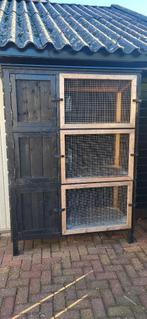 Super nette konijnenflat, Dieren en Toebehoren, Knaagdieren en Konijnen | Hokken en Kooien, Ophalen, Cavia, 90 cm of meer, Hok