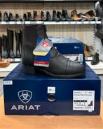 Ariat Jodphur zwart insulated, Ophalen of Verzenden, Nieuw, Overige soorten, Schoeisel
