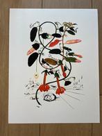Dali - Flordali Litho - 1979 - Oplage 800, Antiek en Kunst, Ophalen of Verzenden
