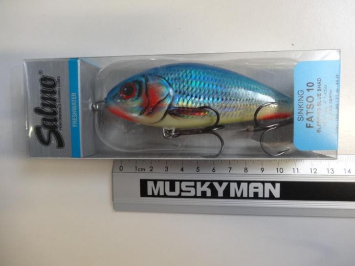 Kunstaas: Salmo Fatso 10 Sinking Jerkbaits, Watersport en Boten, Hengelsport | Roofvissen, Nieuw, Overige typen, Verzenden