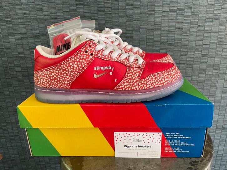 Nike SB Dunk Low EU 41 Stingwater Magic Mushroom, Kleding | Dames, Schoenen, Zo goed als nieuw, Sneakers of Gympen, Rood, Ophalen of Verzenden