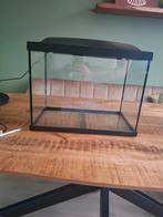 Aquarium Superfish 50, Ophalen, Zo goed als nieuw, Leeg aquarium