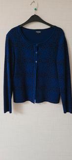Zwart met blauw vest. Maat L. BLOOMINGS., Kleding | Dames, Truien en Vesten, BLOOMINGS., Zwart, Maat 42/44 (L), Ophalen of Verzenden