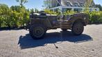 Ford GPW - 1944, Auto's, Handgeschakeld, Particulier, Ford, Groen