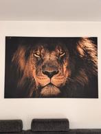 Leeuwen canvas 100x150cm, Huis en Inrichting, Woonaccessoires | Schilderijen, Tekeningen en Foto's, Ophalen, Gebruikt, 125 cm of meer