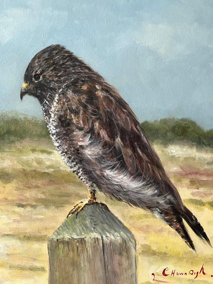 CH van Dijk, buizerd op een paal, Antiek en Kunst, Kunst | Schilderijen | Klassiek, Ophalen