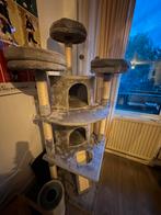 Mooie katten boom veel plek, Ophalen, Krabpaal