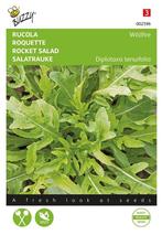 Rucola, Ophalen of Verzenden, Voorjaar, Volle zon, Zaad