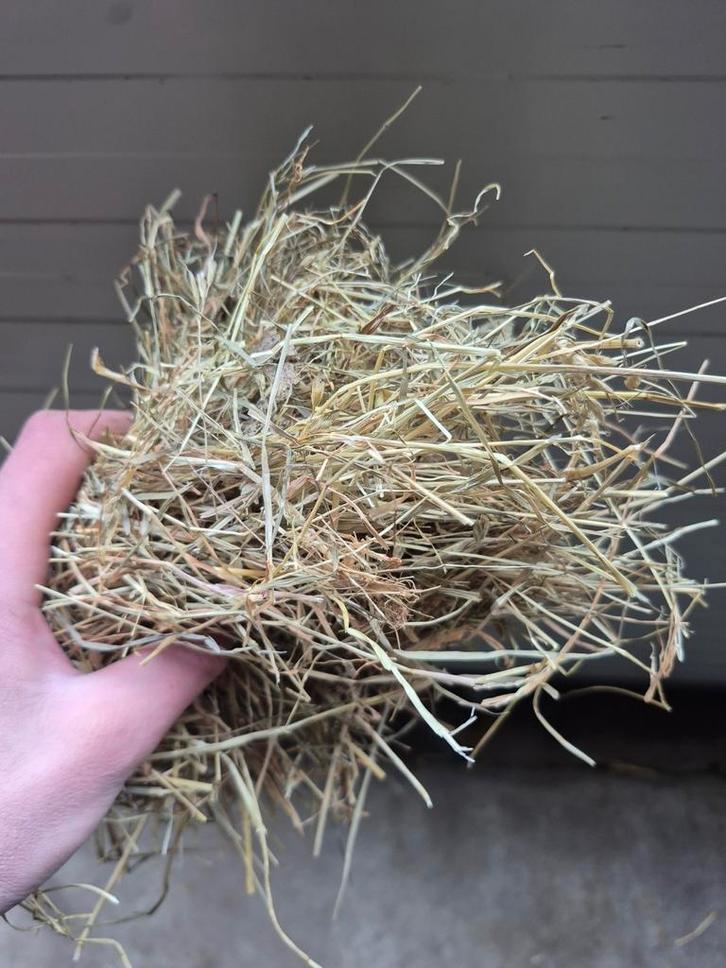 Kleine pakjes hooi, Dieren en Toebehoren, Dierenvoeding, Vee, Ophalen