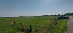 Te koop weiland van ca 1/2 hectare te Lathum nabij Arnhem, Dieren en Toebehoren, Stalling en Weidegang