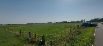 Te koop weiland van ca 1/2 hectare te Lathum nabij Arnhem beschikbaar voor biedingen