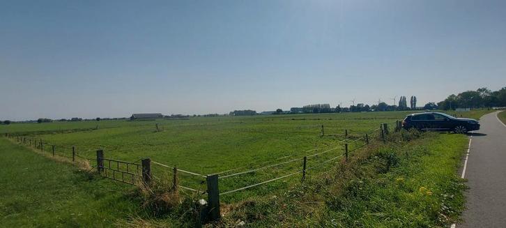 Te koop weiland van ca 1/2 hectare te Lathum nabij Arnhem, Dieren en Toebehoren, Stalling en Weidegang