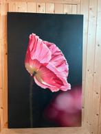 Foto van bloem op Canvas - Katie Ferringer, Antiek en Kunst, Ophalen