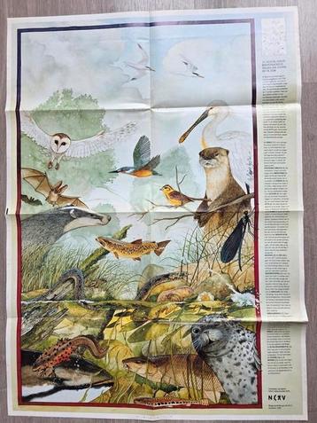 2x poster uit de NCRV gids uit 1990 beschikbaar voor biedingen