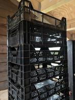 Planten kisten Veenman, Tuin en Terras, Ophalen