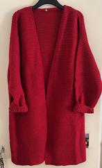 Hema gebreid vest rood maat L, Kleding | Dames, Truien en Vesten, Maat 38/40 (M), Ophalen of Verzenden, Zo goed als nieuw, Hema