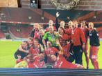 FC Twente 2011 Johan Cruijfschaal, Groter dan maat XL, Ophalen of Verzenden, Zo goed als nieuw, Shirt