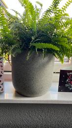 Gezocht!! - Potten uit deze serie - Gezocht!!, Tuin en Terras, Ophalen, Rond, Binnen, Zo goed als nieuw